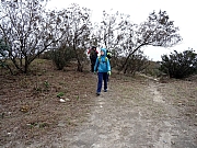 P2210059.JPG (618087 bytes)