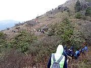 P2210073.JPG (464782 bytes)
