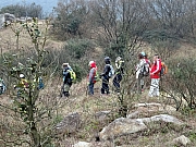 P2210074.JPG (617072 bytes)
