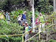 P2210123.JPG (487842 bytes)