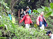 P2210124.JPG (496577 bytes)