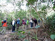 P2280009.JPG (505366 bytes)