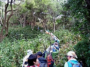 P2280012.JPG (609524 bytes)