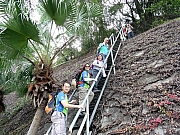 P3060007.JPG (676535 bytes)