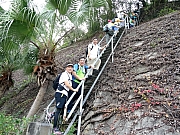 P3060008.JPG (699003 bytes)