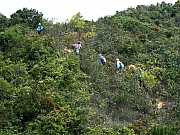 P3060076.JPG (640653 bytes)