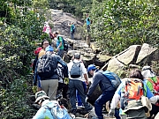 P3060128.JPG (594057 bytes)