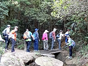 P3060146.JPG (575763 bytes)