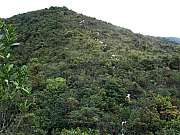 P3060147.JPG (504152 bytes)