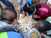 P3060149.JPG (326504 bytes)