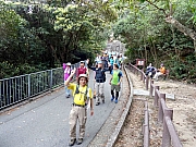 P3060210.JPG (541871 bytes)