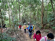P3130004.JPG (570476 bytes)