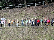 P3130020.JPG (669692 bytes)