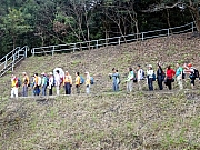 P3130021.JPG (596638 bytes)