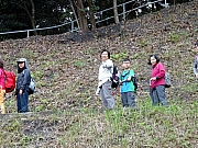 P3130023.JPG (653125 bytes)