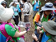 P3200061.JPG (356005 bytes)