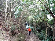 P3200065.JPG (540126 bytes)