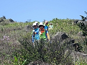 P3270062.JPG (599029 bytes)