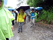 P4100005.JPG (363471 bytes)