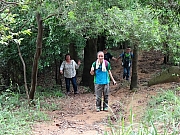 P4170026.JPG (594891 bytes)
