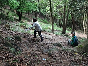 P4170032.JPG (602607 bytes)