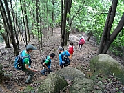 P4170051.JPG (470023 bytes)