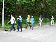 P4240006.JPG (381687 bytes)