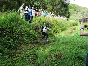 P4240016.JPG (727249 bytes)