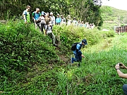 P4240018.JPG (743500 bytes)