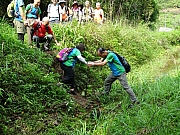P4240025.JPG (726475 bytes)