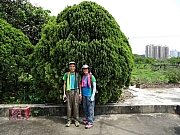 P4240074.JPG (525256 bytes)