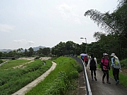 P4240076.JPG (313265 bytes)