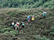 P4240089.JPG (598107 bytes)