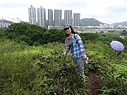 P4240110.JPG (516403 bytes)