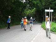 P4240120.JPG (395442 bytes)