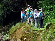 P5010014.JPG (357849 bytes)