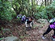 P5010016.JPG (583587 bytes)