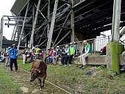 P5010055.JPG (479155 bytes)