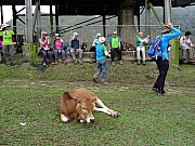 P5010057.JPG (568050 bytes)