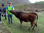 P5010067.JPG (488383 bytes)