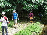 P5080034.JPG (497899 bytes)