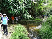 P5080036.JPG (649167 bytes)