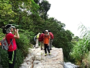 P5080037.JPG (546741 bytes)