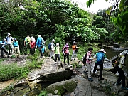P5080049.JPG (624387 bytes)