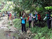 P5080053.JPG (562929 bytes)