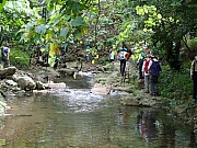 P5080056.JPG (537155 bytes)