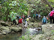 P5080058.JPG (551454 bytes)
