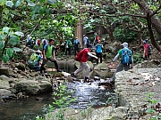 P5080059.JPG (505728 bytes)