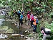 P5080061.JPG (499805 bytes)
