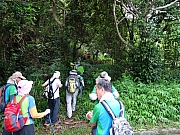 P5150003.JPG (489681 bytes)
